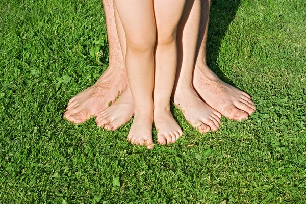 stock image Legs in the grass