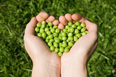 Woman's hands holding green peas clipart