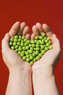 Woman's hands holding green peas clipart