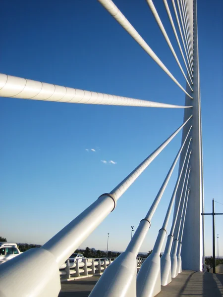 Puente con cable — Foto de Stock