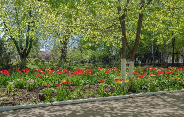 stock image Flowers garden