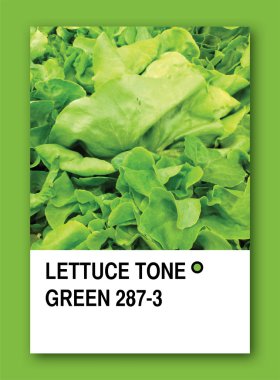 LETTUCE TONE GREEN. Color sample design clipart