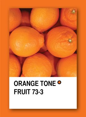 ORANGE TONE FRUIT. Color sample design clipart