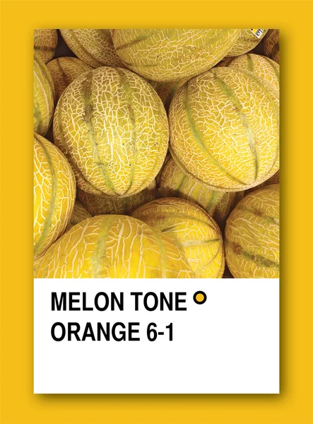 Meloun tónu oranžová. Barva vzorku design — Stock fotografie