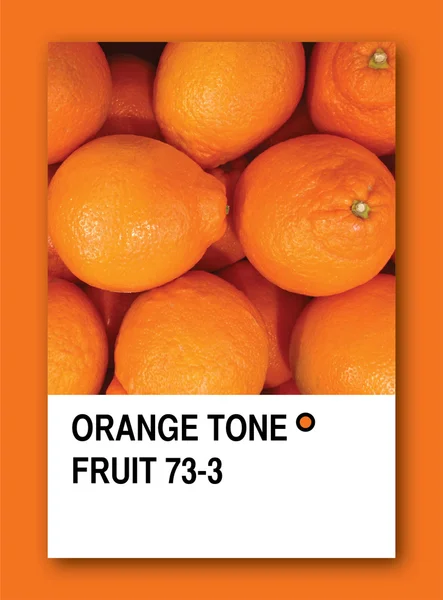Fruta de tom de laranja. Projeto da amostra de cor — Fotografia de Stock