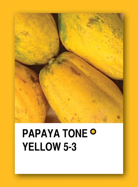 パパイヤ トーン黄色。色のサンプル デザイン — ストック写真