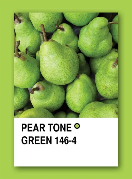 Tono de pera verde. Diseño de muestra de color —  Fotos de Stock