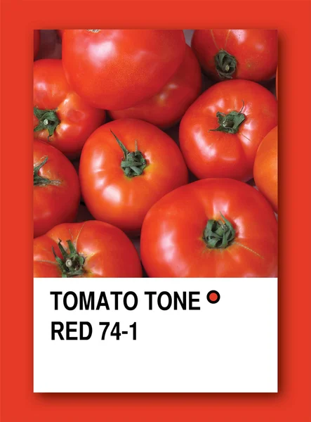Tono de tomate rojo. Diseño de muestra de color —  Fotos de Stock