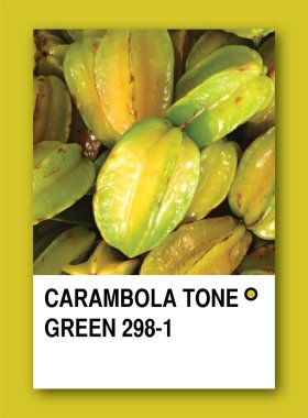 CARAMBOLA TONE GREEN. Color sample design clipart