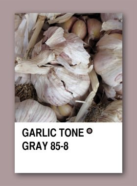 GARLIC TONE GRAY. Color sample design clipart