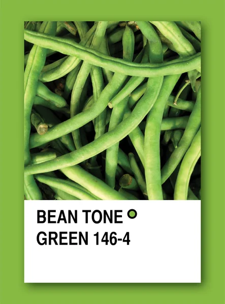 Bean ton gröna. färg provet design — Stockfoto