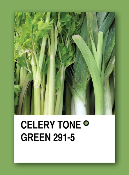 CELERY TONE GREEN. Design campione di colore — Foto Stock