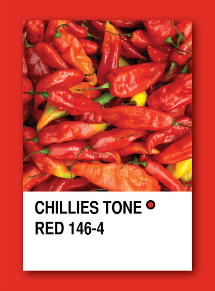 Дети тонизируют красные. Образец цвета
