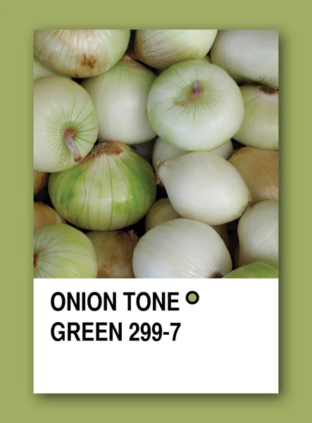 Tono de cebolla verde. Diseño de muestra de color — Foto de Stock
