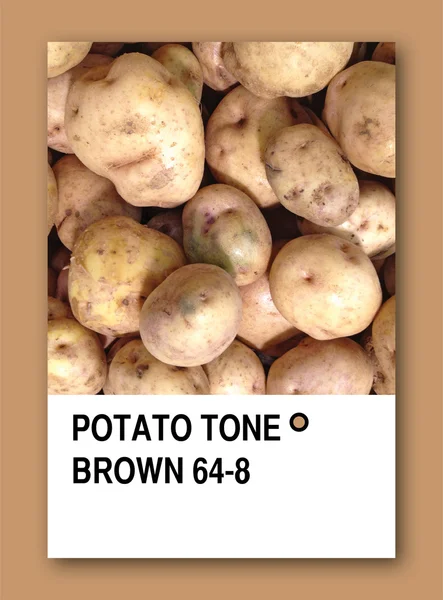 Potato Tone Brown. Modèle d'échantillon de couleur — Photo