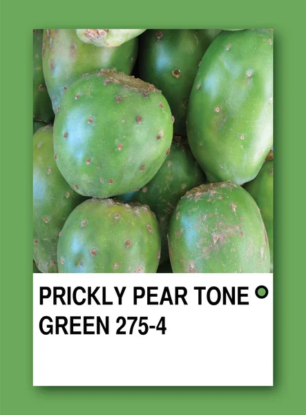 PRICKLY PEAR TONE GREEN. Color sample design — Stock Photo, Image