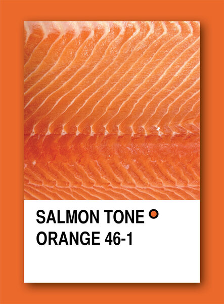 SALMON TONE Orange. Образец цвета

