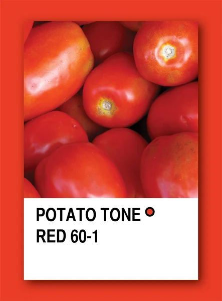 TOMATO TONE RED. Color sample design — Stock Photo, Image