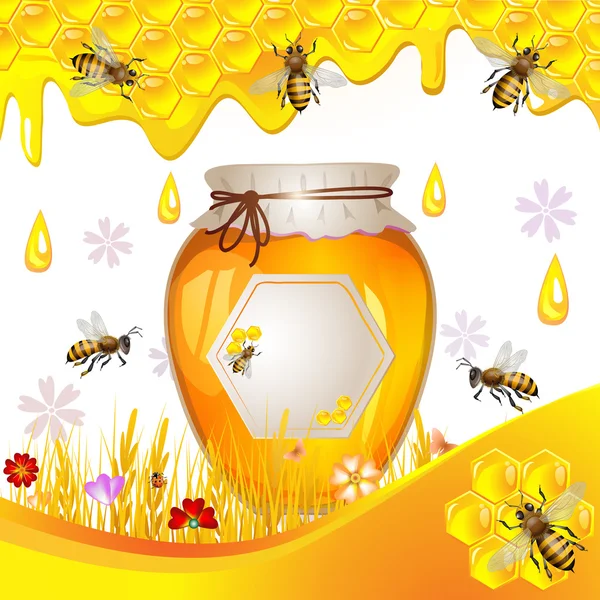 蜂蜜と花の背景 — ストックベクタ