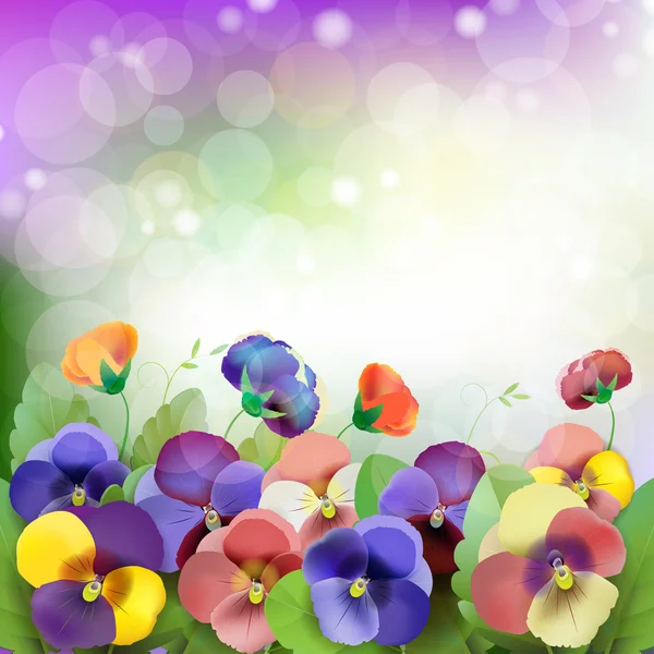 Floral achtergrond, kleurrijke viooltjes bloemen — Stockvector