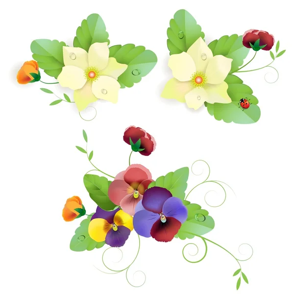 Set of gentle floral with pansy — Stock Vector
