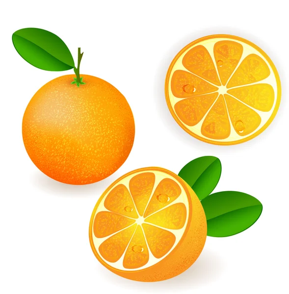 Friss narancs gyümölcsök, levelek — Stock Vector