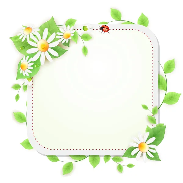 Fond avec des fleurs de marguerites et coccinelle — Image vectorielle