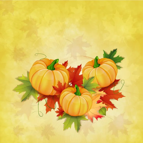 カボチャの葉と秋の背景 — ストックベクタ
