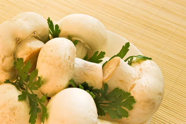 Mushrooms in bowl — Stock Photo, Image