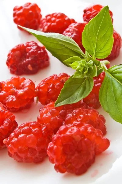 Raspberries and basil — Stock Photo, Image