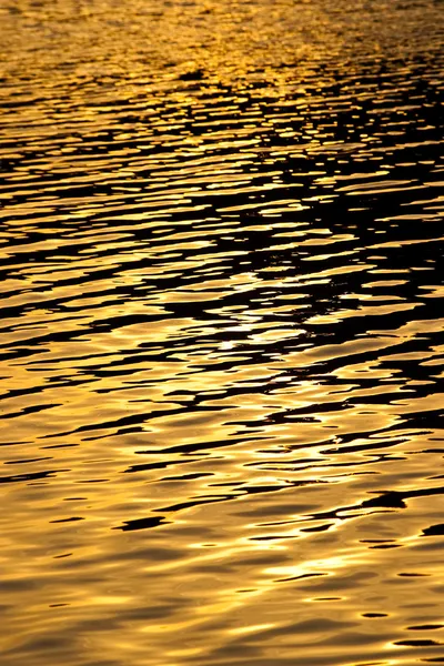 Reflejo dorado del agua — Foto de Stock
