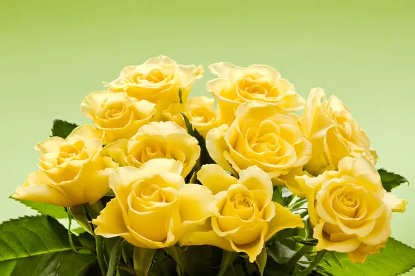 Kytice žlutých růží — Stock fotografie
