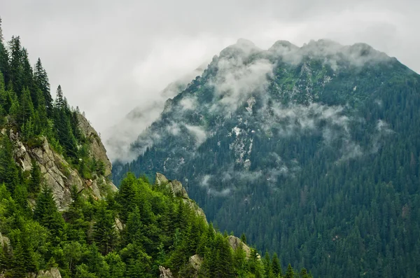 stock image Mountains peak