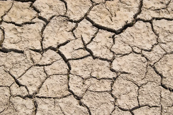 Stock image Cracked ground