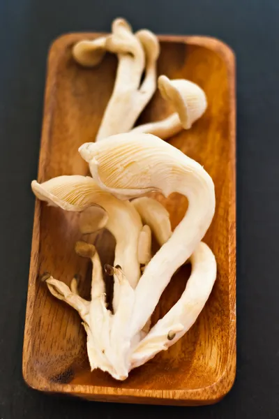 Oyster mushrooms — Stock Photo, Image