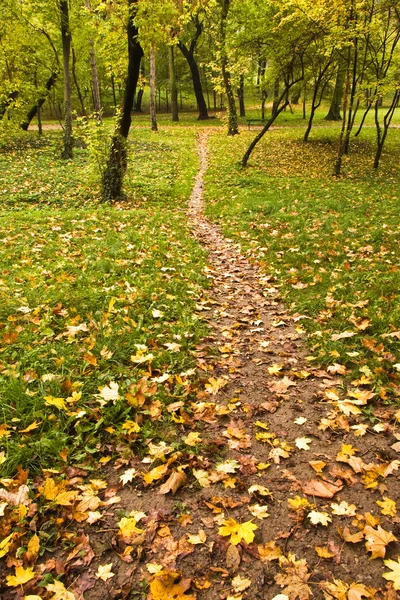 Foot path in park — Stock Photo, Image