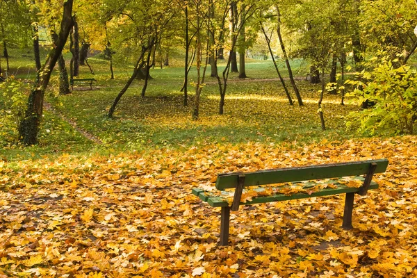 Park bench with autumn leaves — Stock Photo, Image
