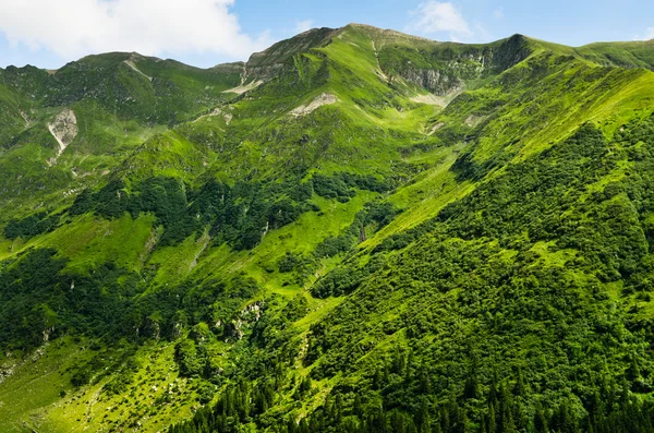 Verano montañas verdes — Foto de Stock