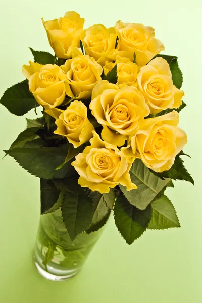 Rose gialle — Foto Stock
