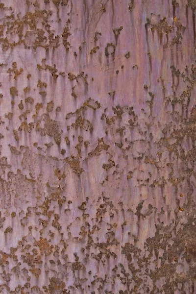 Rusty metal surface — Stock Photo, Image
