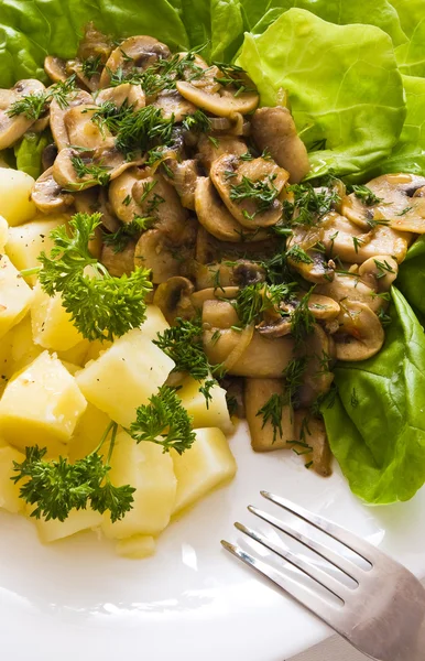 Potato mushroom and salad — Stock Photo, Image
