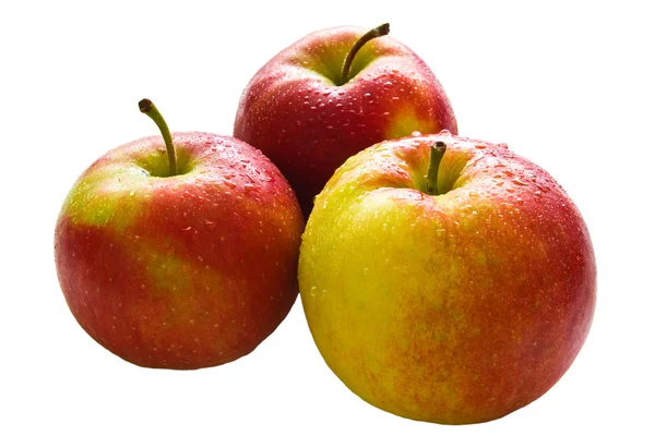 stock image Apples isolated