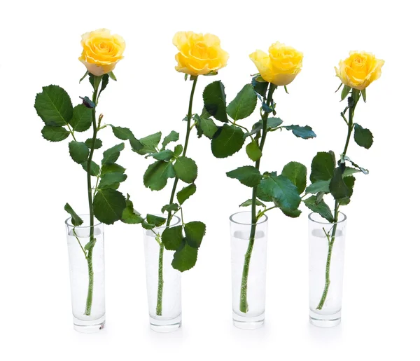 Four yellow roses — Stock Photo, Image