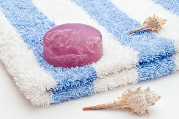 肥皂和海贝壳 — 图库照片