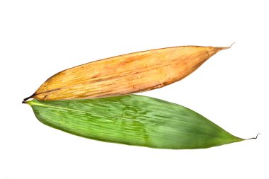 pirinç hamur tatlısı için bambu yaprakları