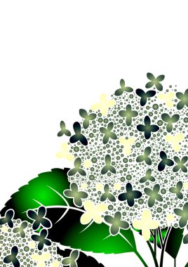 Grafik deseni