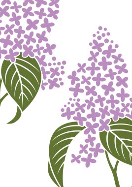 Grafik deseni