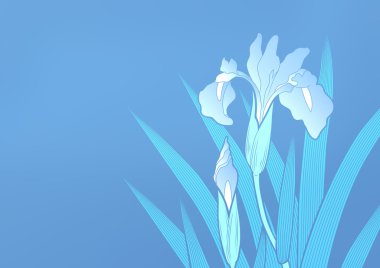 Grafik deseni