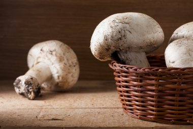 Champignon Mushrooms clipart