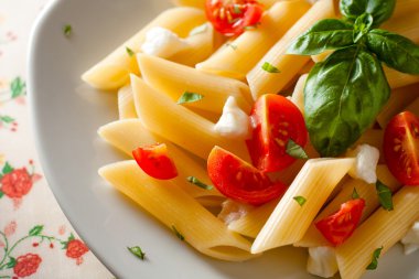 Penne Tricolore clipart